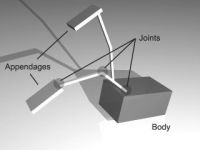 Embodied Agents perceived as three-dimensional objects within the virtual environment